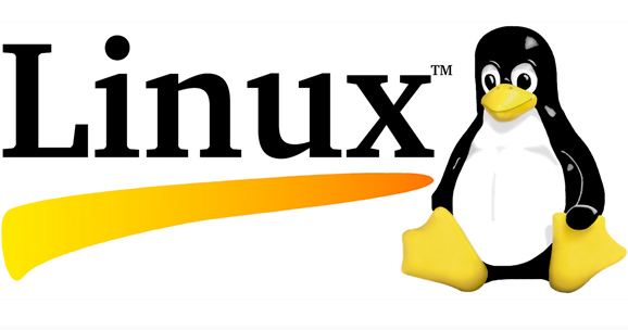 零基礎(chǔ)可以參加Linux培訓(xùn)嗎