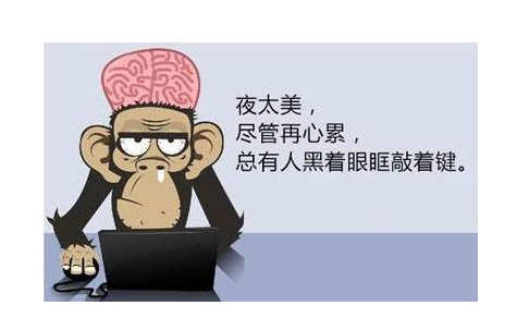 最好學(xué)的IT技術(shù)——扣丁學(xué)堂JavaEE開發(fā)