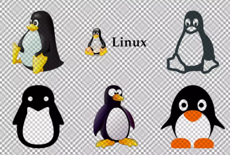 扣丁學堂Linux培訓分享Shell編程之特殊變量講解
