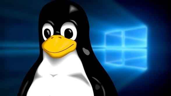 扣丁學(xué)堂Linux培訓(xùn)簡述在Linux命令行中列出帶有l(wèi)s文件的技巧