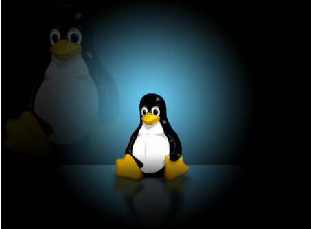 扣丁學堂Linux培訓簡述Linux命令head和tail常見用法