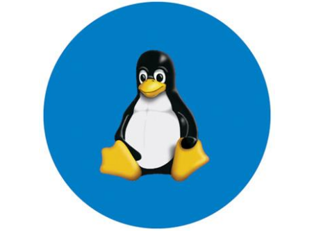 扣丁學堂Linux培訓簡述shell中常見參數(shù)及判斷命令