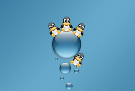 扣丁學(xué)堂Linux培訓(xùn)簡(jiǎn)述Linux使用grep篩選多個(gè)條件及grep常用過濾命令