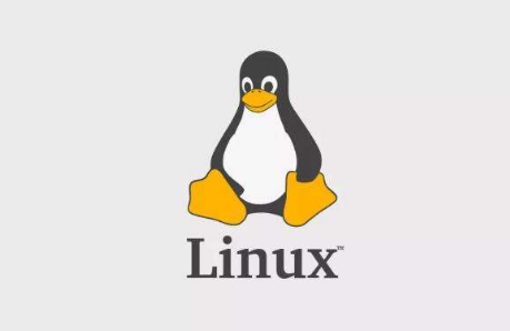 扣丁學(xué)堂Linux培訓(xùn)分享Linux定義變量腳本